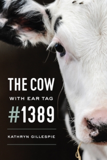 COW WITH EAR TAG 1389 THE
