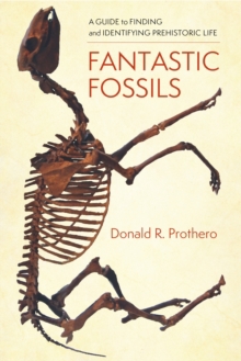 FANTASTIC FOSSILS