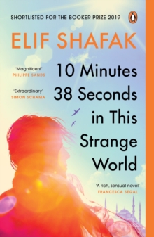 10 MINUTES 38 SECONDS THIS STRANGE WORLD