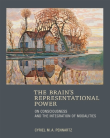 BRAINS REPRESENTATIONAL POWER THE