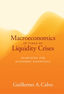 MACROECONOMICS IN TIMES OF LIQUIDITY CRI