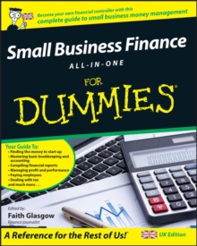 SMALL BUSINESS FINANCE ALL IN ONE/DUMMIE