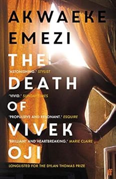 The death of Vivek Oji