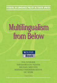 Multilingualism from Below (E-Book)