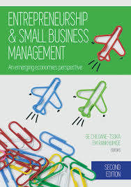 Entrepreneurship and small business management– An emerging economies perspective  (E-Book)