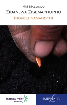 IsiZulu Home Language Zibanjwa Zisemaphuphu (E-Book)
