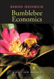 BUMBLEBEE ECONOMICS NEW PREFACE