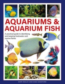 AQUARIUMS & AQUARIUM FISH