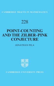 POINTCOUNTING & THE ZILBERPINK CONJE