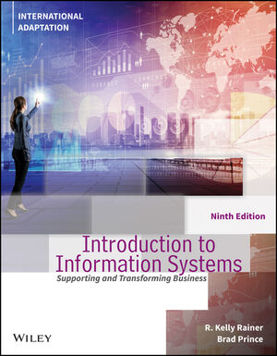 Introduction to Information Systems, International Adaptation (E-Book)