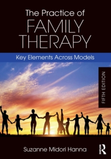 The Practice of Family Therapy 