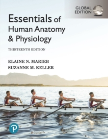 Essentials of Human Anatomy and Physiology