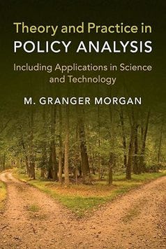 Theory and Practice in Policy Analysis