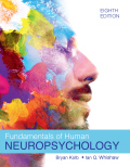 Fundamentals of Human Neuropsychology (E-Book)