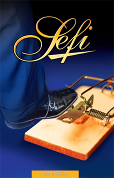 Sefi (Grade 12 Setwork)