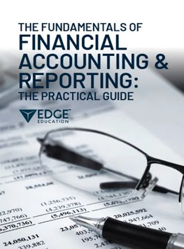 The Fundamentals of Financial Accounting and Reporting: The Practical Guide (E-Book)