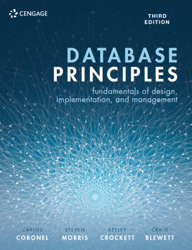 Database Principles (E-Book)