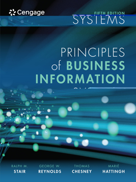 Principles of Business Information Systems (E-Book)