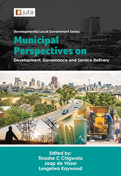 Municipal Perspectives on Development Governance and Service Delivery