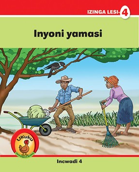 Ukuku Nabangani Bakhe: Red Series: L4 Bk4: Inyoni Yamasi
