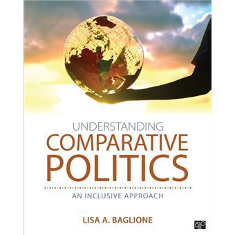 Understanding Comparative Politics (E-Book)