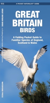 GREAT BRITAIN BIRDS 2E