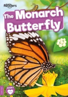 MONARCH BUTTERFLY