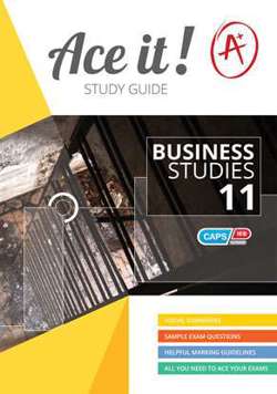 Ace it! Business Studies - Grade 11