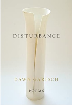 Disturbance