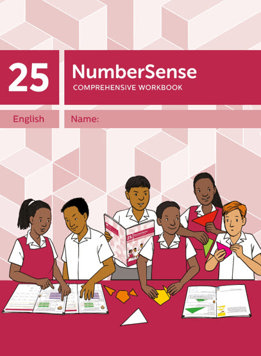 NumberSense Comprehensive Workbook 25 