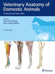 Veterinary Anatomy of Domestic Animals