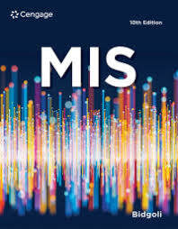 MIS (E-Book)