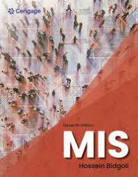 MIS (E-Book)