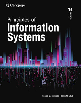 Principles of Information Systems (E-Book)